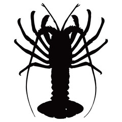 silhouette image of a lobster with a transparent background