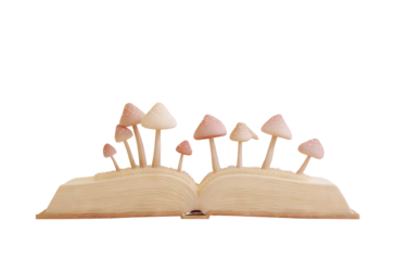 Surreal open book with floating mushrooms creating a whimsical scene