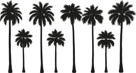 Set of tall and short palm tree silhouettes, tropical forest elements, black isolated illustration for summer, beach, exotic, vacation designs