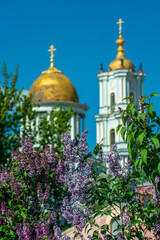 Obraz premium Blooming lilacs against the backdrop of an Orthodox cathedral.