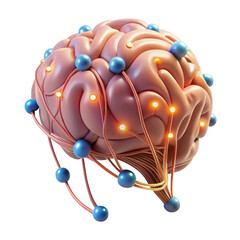 3d human brain with neural network connections isolated on a transparent background