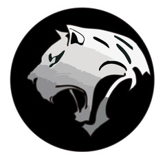 vector illustration of a jaguar