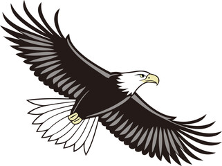 Fototapeta premium flying eagle vector isolated clear background