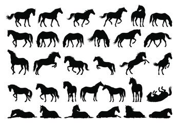 Collection of Silhouette Horse in Different Poses. Black Horse Isolated on White Background. Vector Illustration of Various Horse Activities