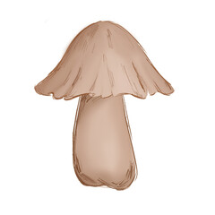 mushrooms on a white background