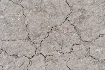 Close up view of cracked, dry earth surface with detailed texture patterns and natural colors.