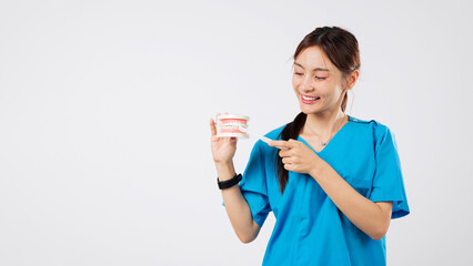 Smiling asian dentist woman, doctor, model, holding toothbrush, demonstrating proper teeth brushing for presentation on a teeth model, teaching healthy teeth care, headshot isolated white background