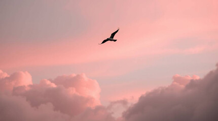 Bird flying pink sky clouds nature scenic landscape freedom flight tranquility avian animal