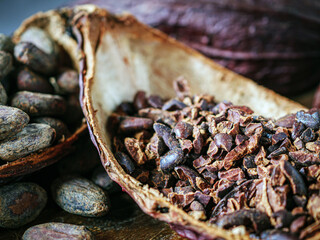 Close-up of Cocoa nibs and cocoa bean