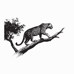 Tiger Walking Gracefully on Tree Branch in Dense Jungle Natural Habitat