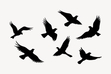 Obraz premium Flock of bird silhouette animal flying.