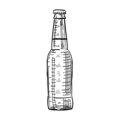 hand drawn vector beer bootle sketch. Etching engraved style
