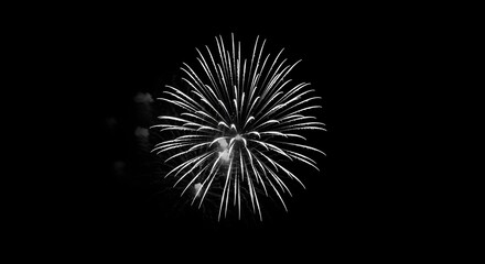 A graphic black and white photograph of a single firework bursting, symbolizing a moment of celebration or a grand finale event.