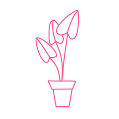 handdrawn pink plant women's day