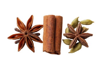 Cinnamon, star anise, and cardamom spices arranged