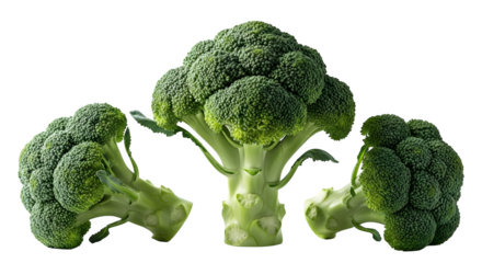 Three broccoli florets arranged on a plain black background    .ai generative, transparent background, white background. isolated on white background