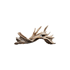Fototapeta premium Dynamic driftwood piece isolated on white background 