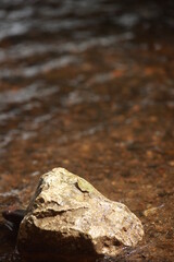 Rock is sitting in a body of water