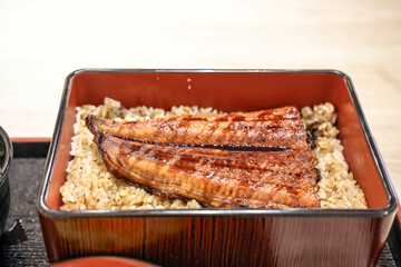 Japanese Grilled Eel with Rice in Traditional Bento Box