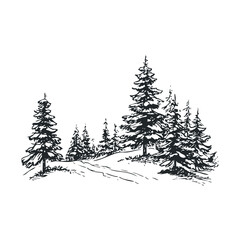 Obraz premium Winter forest landscape with snow covered pine trees in nature