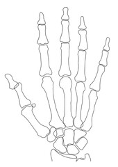 hands x-ray hand medicine icon vector illustration.