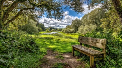 Fototapeta premium Wooden bench in a lush, sunlit park. A tranquil river scene beyond
