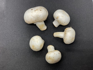 Agaricus bisporus commonly known as a button mushroom