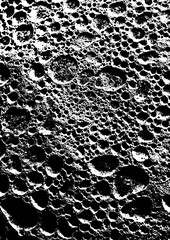 Large vector porous rock texture with a transparent background