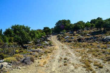 Dirt Trail Through Rocky Countryside Landscape