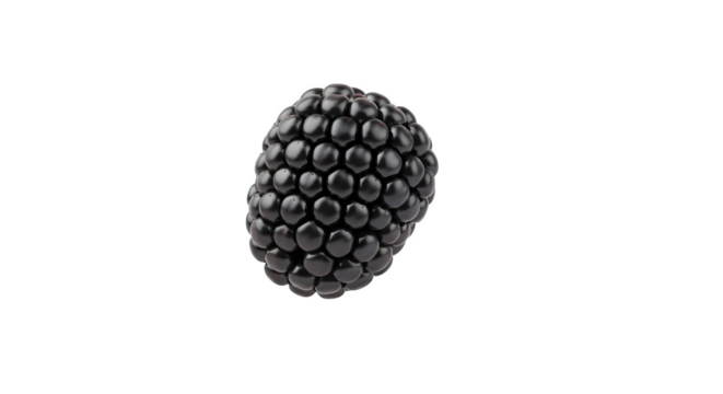 A single blackberry isolated against a stark black background    .ai generative, transparent background, white background. isolated on white background