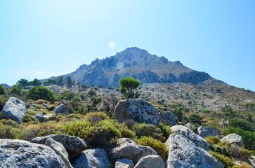 Dry Rocky Mountain Landscape with Green Shrubs under Clear Blue Sky