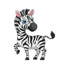 zebra vector illustration