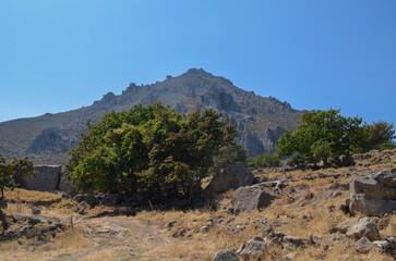 Rocky Mountain Landscape with Trees and Dry Terrain Under Clear Blue Sky