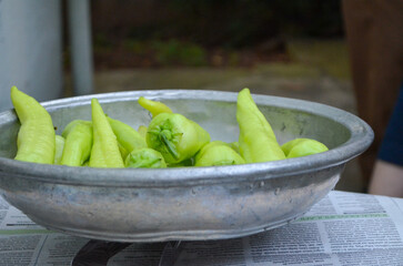 Fresh Green Peppers in Traditional Metal Bowl Outdoors