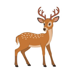 deer vector illustration