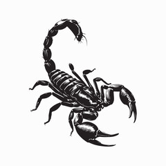 Detailed View of a Scorpion Showing Its Tail and Claws in Nature