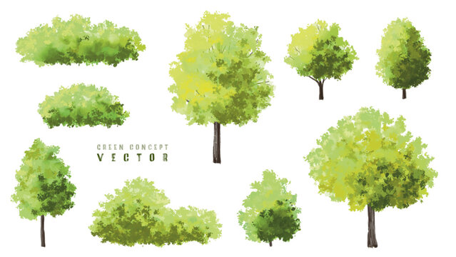  Vector watercolor green  tree or forest side view isolated on white background for landscape and architecture drawing,elements for environment or and garden,Shrub for section