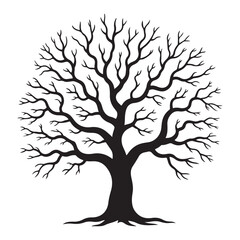 Obraz premium Bare winter tree silhouette