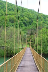 Obraz premium suspension bridge over the river