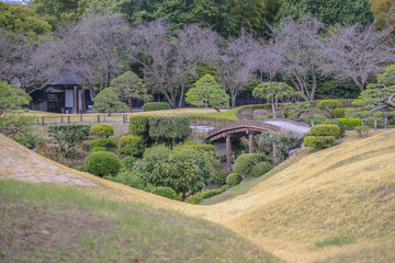 March 24 2025 Urban Park Landscape with Trees and Grass on a Cloudy Day, Japan