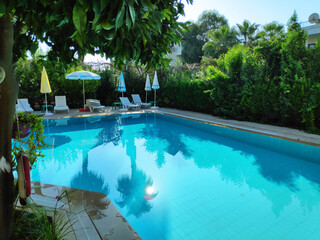 Pool with a blue tiled floor and a tree in the background