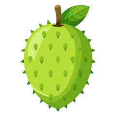 fruit ,vector illustration ,isolated on transparent white background