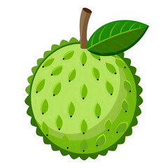 fruit ,vector illustration ,isolated on transparent white background