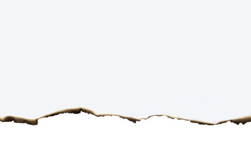 Close-up of a burnt paper edge with a subtle curve, showing scorched and charred details. A perfect grunge texture or vintage border. Isolated on white background with clipping path.