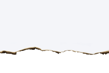 Close-up of a burnt paper edge with a subtle curve, showing scorched and charred details. A perfect grunge texture or vintage border. Isolated on white background with clipping path.