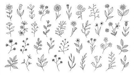 A black and white botanical illustration collection featuring 50 individual hand-drawn floral and herb sketches arranged in a grid pattern.