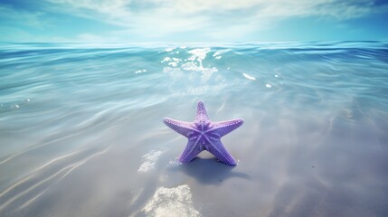 A vibrant purple starfish on a sandy beach, by the calm, clear ocean water.