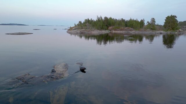 Aerial view of seal on rocky, the trees casting subtle reflections on the water, creating a serene scene, Sortavala, Russia.
