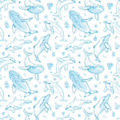 Vector seamless pattern with whales and dolphins. Marine animals in engraving technique, freehand drawing with blue ink. White background. Can be used for wallpaper, textile, fabric
