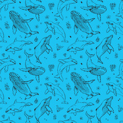 Vector seamless pattern with whales and dolphins. Marine animals in engraving technique, freehand drawing with ink. Blue background. Can be used for wallpaper, textile, fabric, wrapping paper.